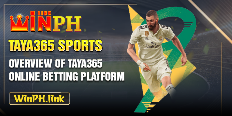 Overview of Taya365 Online Betting Platform