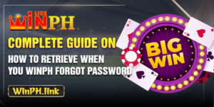Complete Guide On How To Retrieve When You Winph Forgot Password