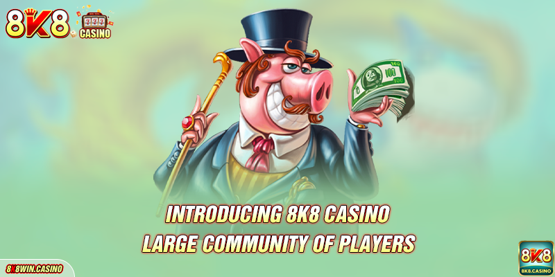 Introducing the 8k8 casino