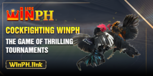 Cockfighting WINPH - The game of thrilling tournaments