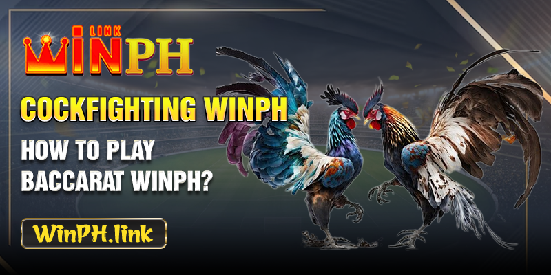 How to cockfight with WINPH?