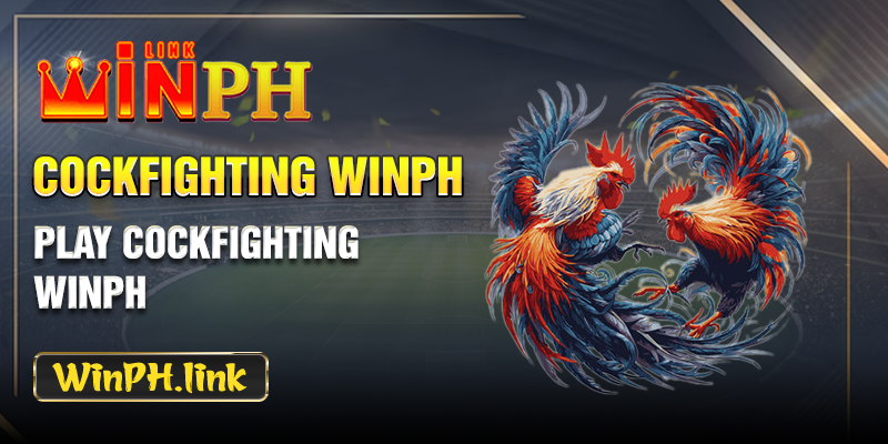 Play cockfighting WINPH